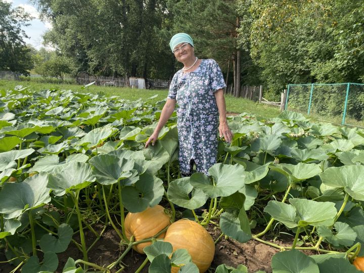 Жительница Кукморского района вырастила тыкву весом 32 кг