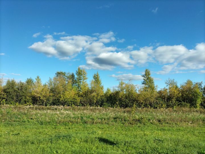 В Кукморском районе ожидается до +21 градуса