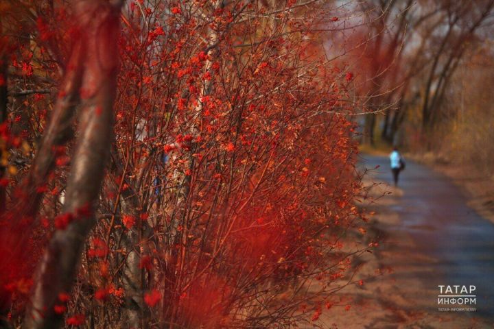 Гороскоп на 9 сентября: У Козерогов возможны изменения в карьере, Рыбам стоит сторониться негативных людей