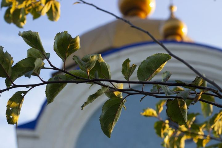Расписание богослужений на 12-й седмице по Пятидесятнице