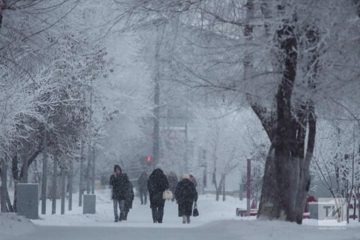 В Кукморском районе ожидается снег, метель и  до -13 градусов