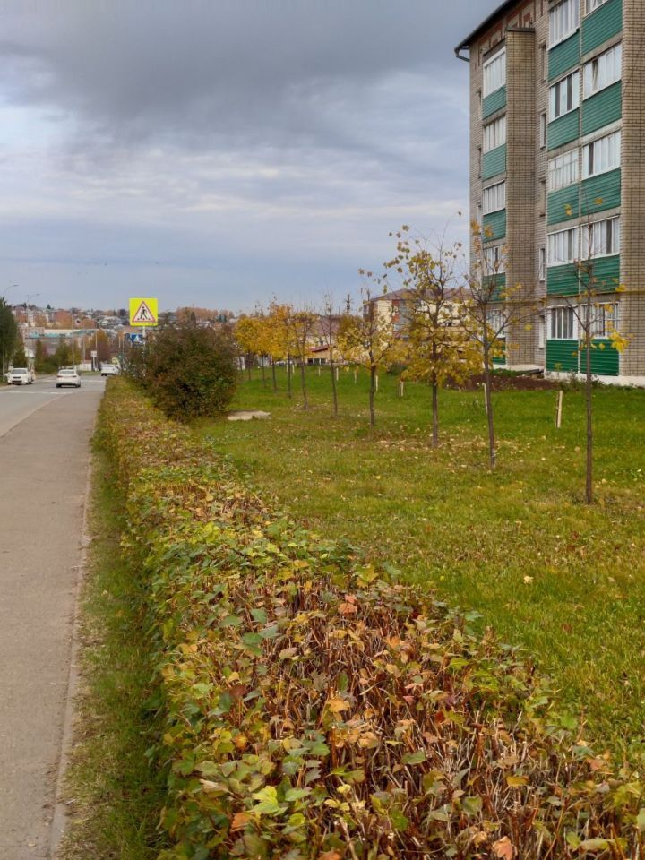 В Кукморском районе ожидается до +18 градусов