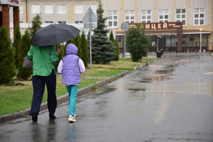 В Кукморском районе ожидаются ливни, град и сильный ветер