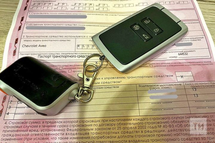 Отделение СФР по Республике Татарстан компенсировало стоимость ОСАГО 500 жителям с инвалидностью