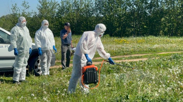 В Кукморе прошли учения по ликвидации особо опасных болезней животных