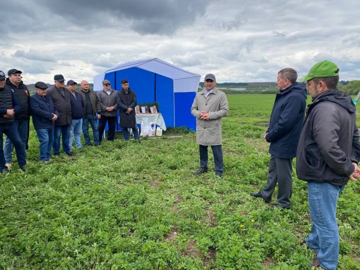 Кукмарага Татарстан Республикасы авыл хуҗалыгы һәм азык-төлек министры Марат Җаббаров килде