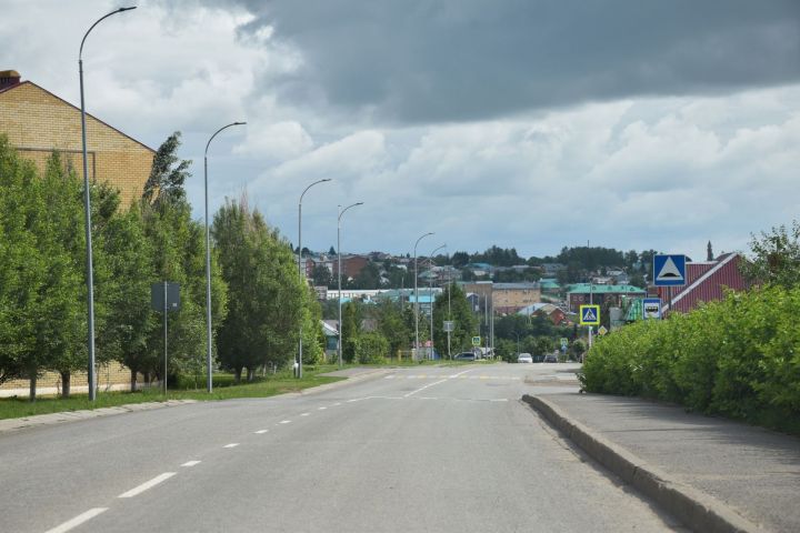 В Кукморском районе ожидается дождь, гроза и сильный ветер