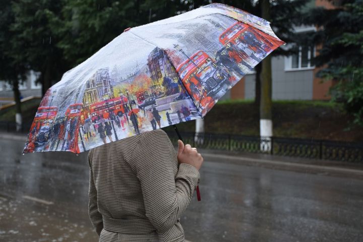 В Кукморском районе ожидается сильный дождь и гроза