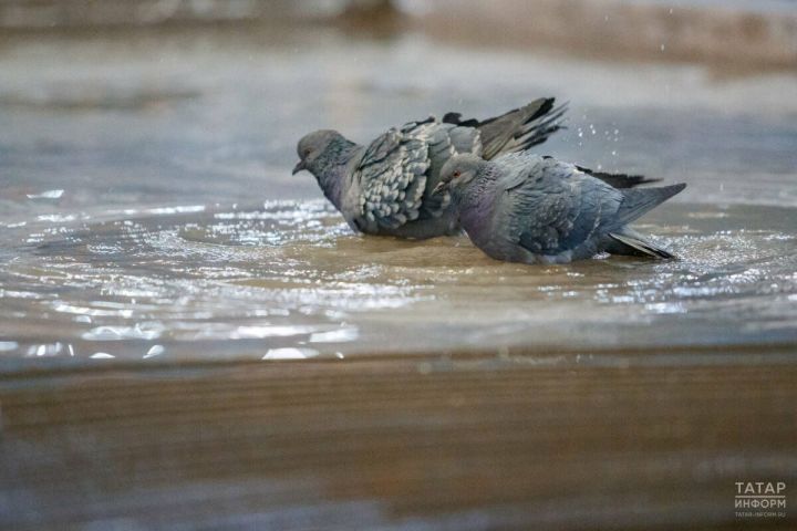 Гороскоп на 3 июня: Водолеям можно экспериментировать, Скорпионам нужно действовать уверенно