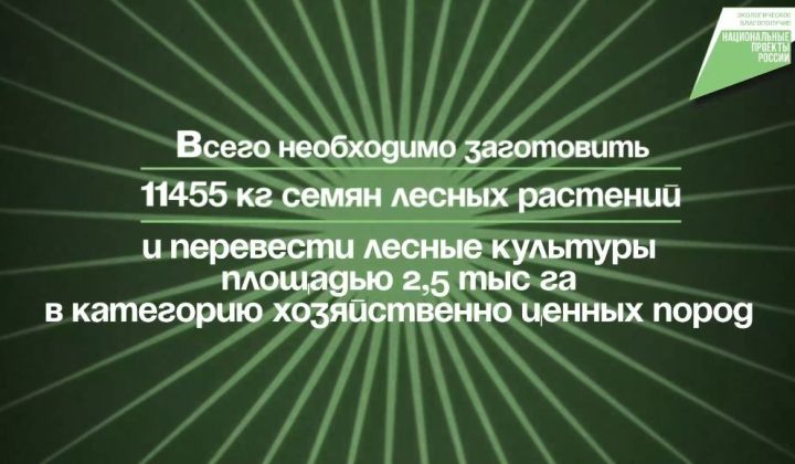 В Татарстане по нацпроекту проведено лесовосстановление на площади 1,7 тыс. гектаров