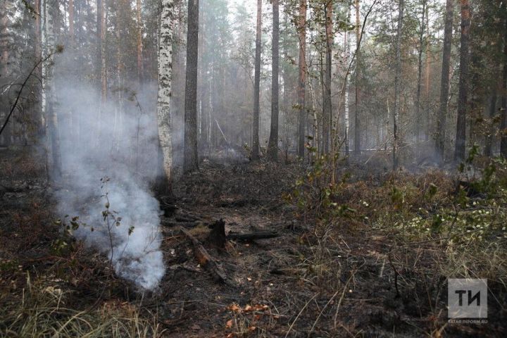 В Татарстане из-за высокой пожарной опасности лесов объявили штормовое предупреждение