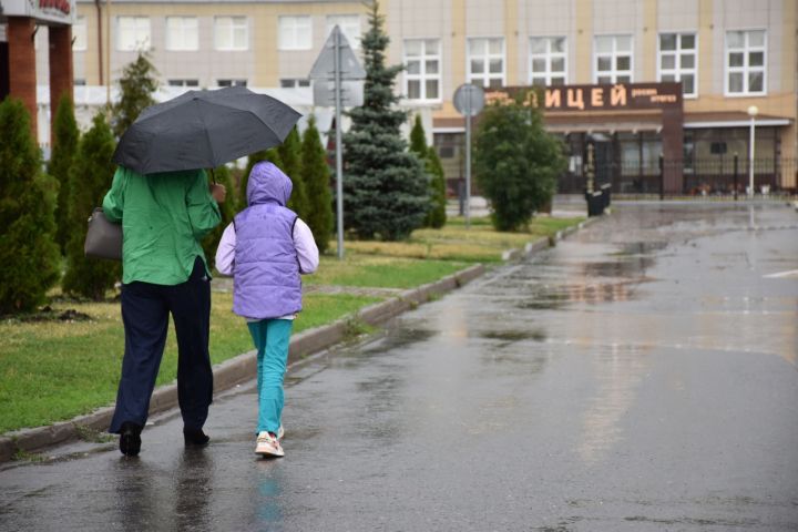В Кукморском районе ожидается гроза, сильный ветер и до +29 градусов
