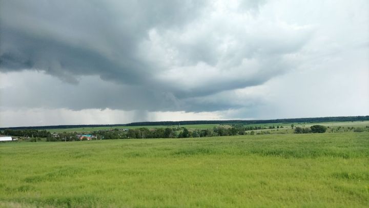 В Кукморском районе ожидается дождь, гроза и до +33 градусов тепла
