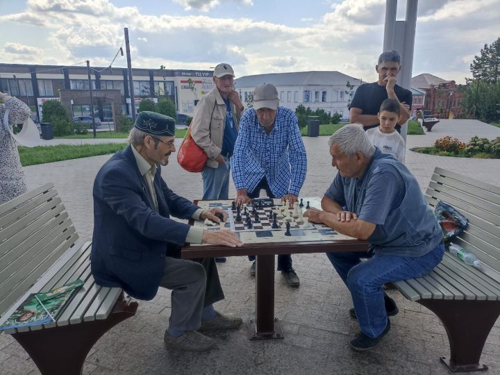 В Кукморе прошел шахматный турнир в рамках проекта «Курше Фест»