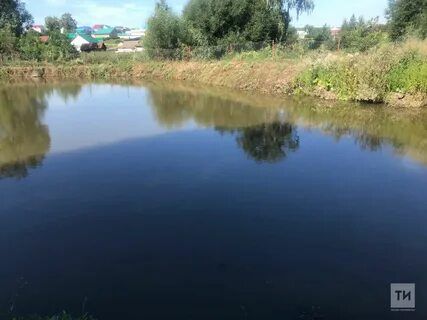 В Кукморском районе в пруду утонул мужчина