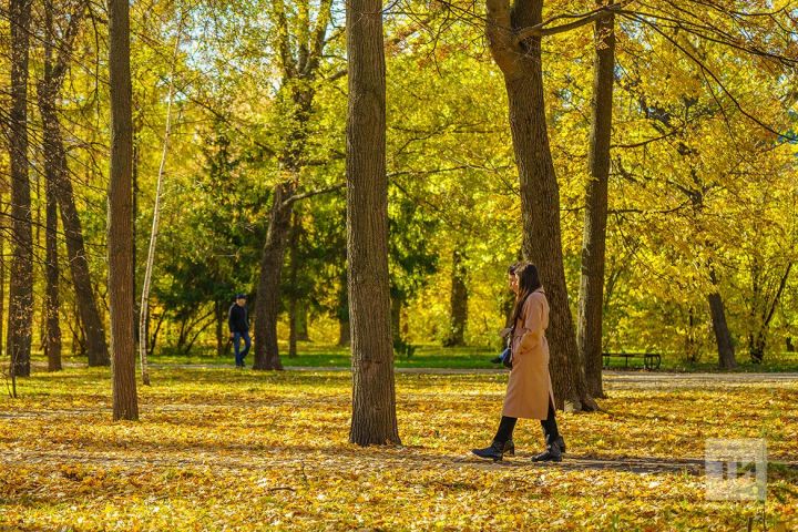 Россиялеләрне ноябрь аенда 20 эш һәм 10 ял көне көтә