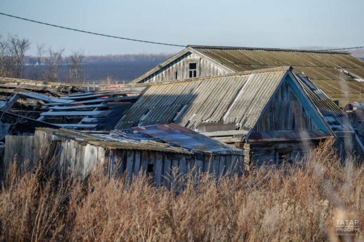 Борщевик на участке могут включить в признаки неиспользования земли