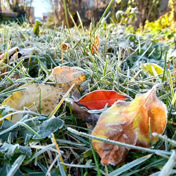 Звезды расскажут, каким будет день 30 октября