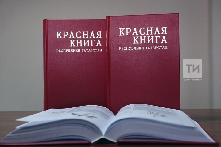 Татарстанда беренче Кызыл китапны ике телдә яңадан бастыру эше тәмамланды
