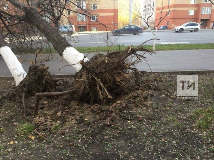 Шквалистый ветер в Татарстане сорвал крыши домов и повалил деревья