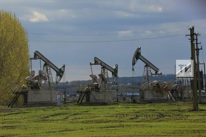 Драйверы роста: Как студенческие отряды Татарстана формируют будущее туротрасли и нефтедобычи
