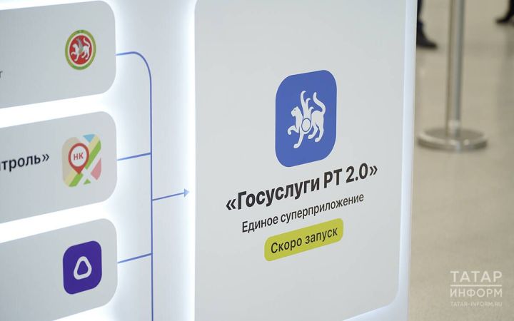 Жителям Татарстана объяснили, как узнать причину штрафа на «Госуслугах»
