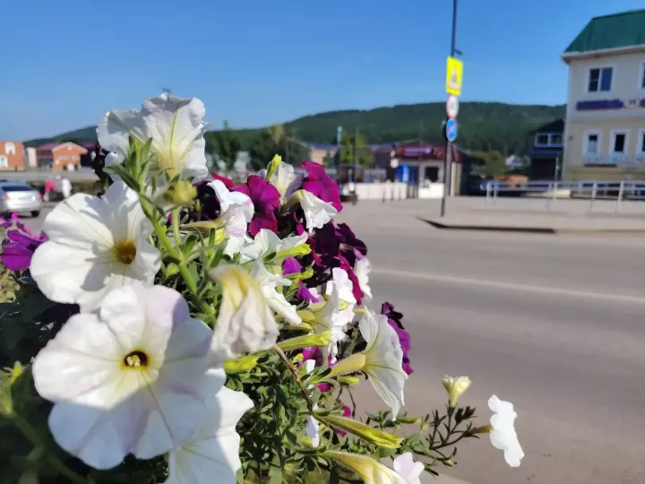 В Кукморском районе 22 августа потеплеет до +23 градусов