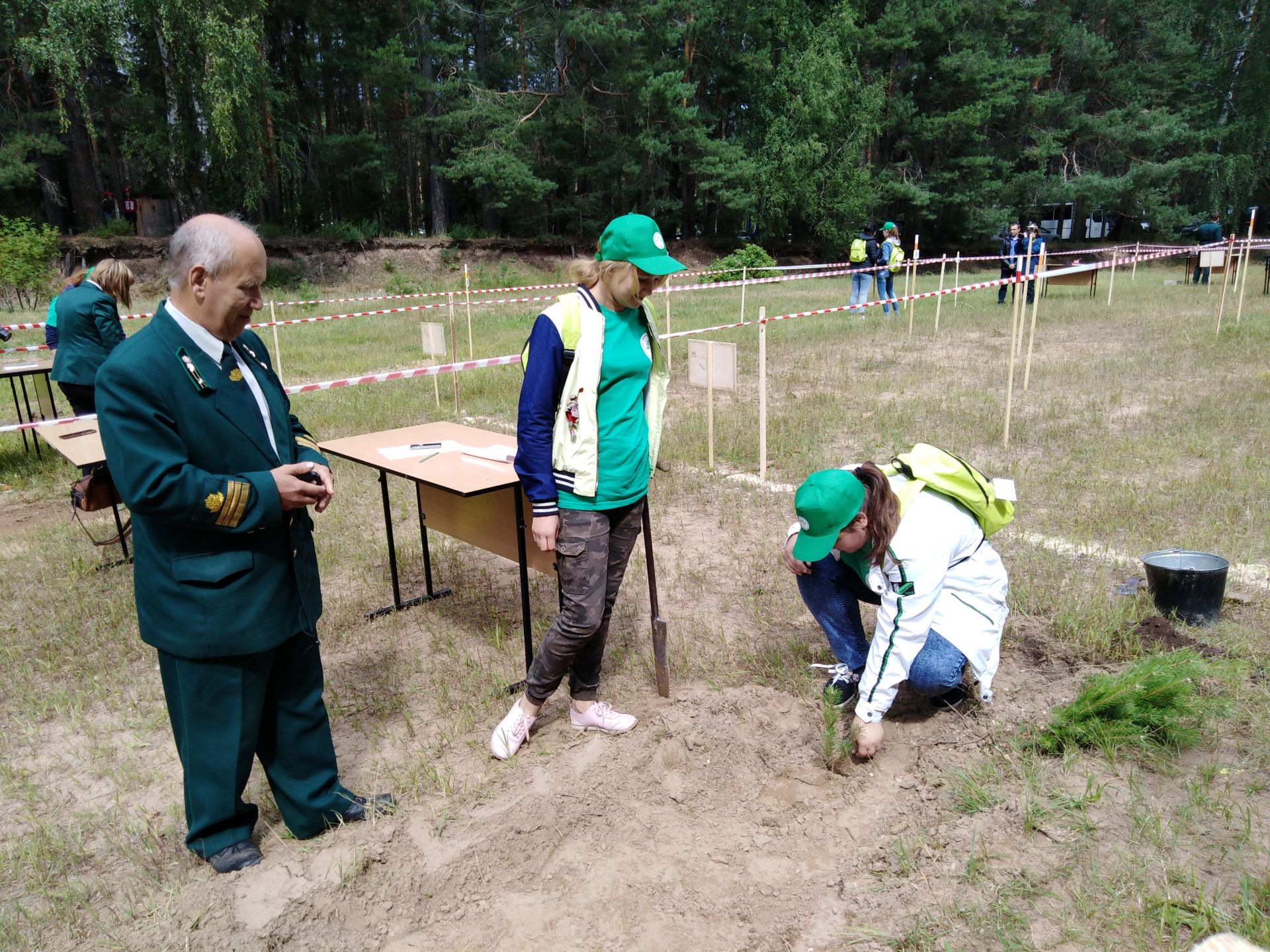 Лубянский лесотехнический