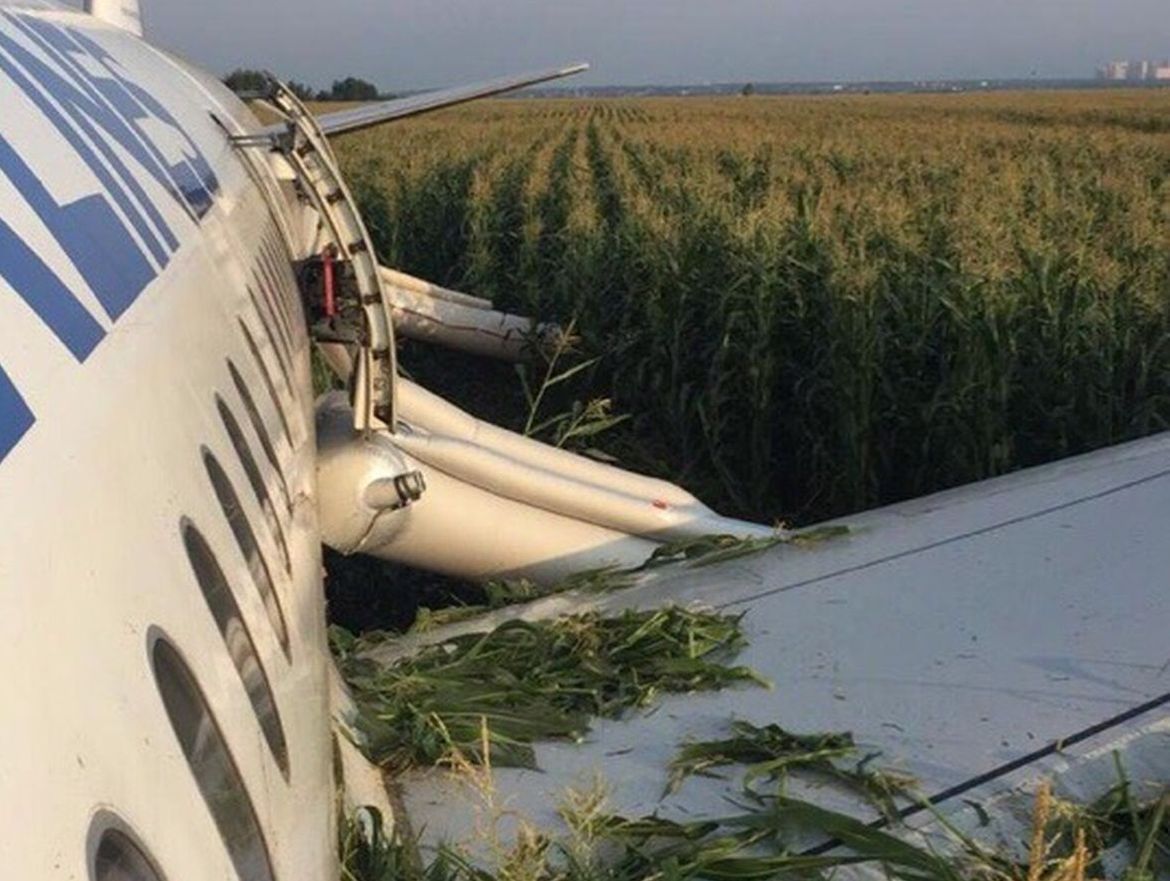 Самолет упал в кукурузное. На кукурузном поле Airbus a321. А321 Уральские авиалинии кукурузное поле. Уральские авиалинии кукурузное поле. Посадка на кукурузное поле а 321.