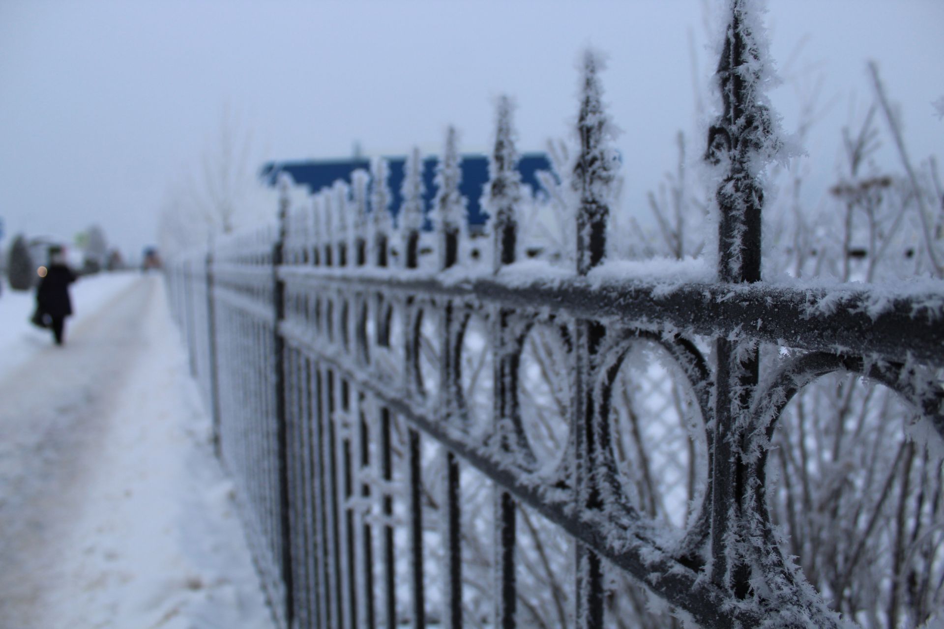 Most cold. Гололед и изморозь на ЖД. На дороге лёгкая изморозь. Гололед изморозь туман знаки. Татарстан. Дороги на 27 декабря.