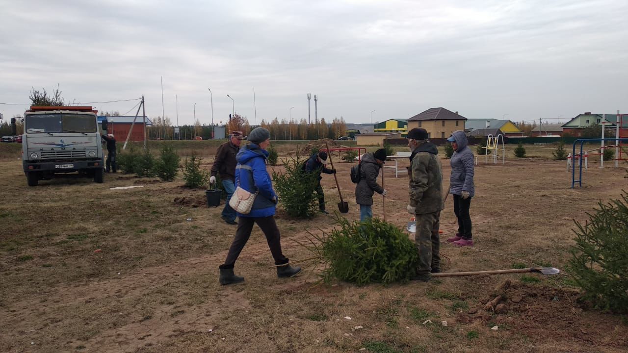 Райнур Нотфуллин: Все средства самообложения использованы по целевому назначению