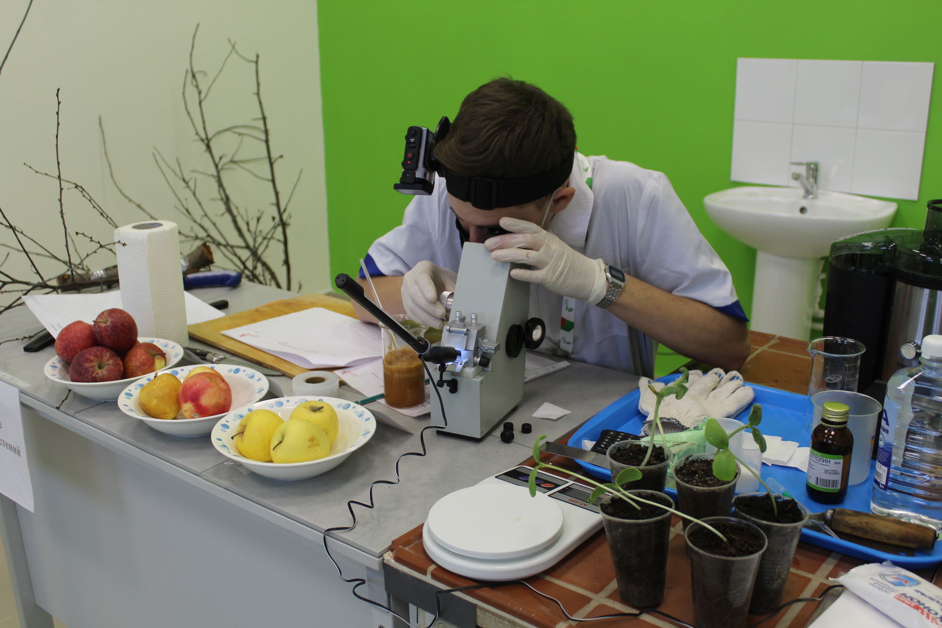 В Кукморе студенты-агрономы соревнуются на чемпионате WorldSkills Russia
