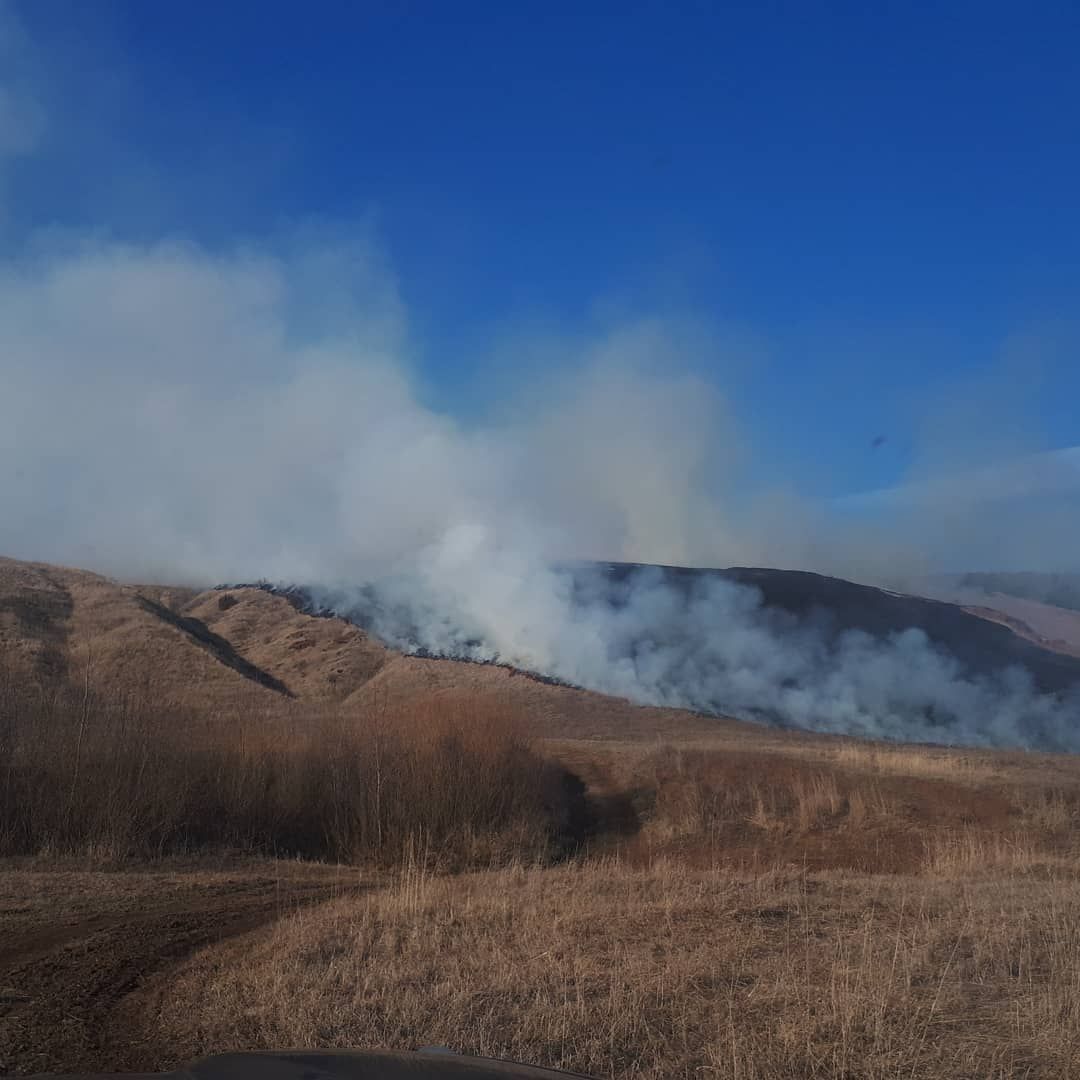 Из-за неосторожности при курении загорелась сухая трава в Кукморском районе