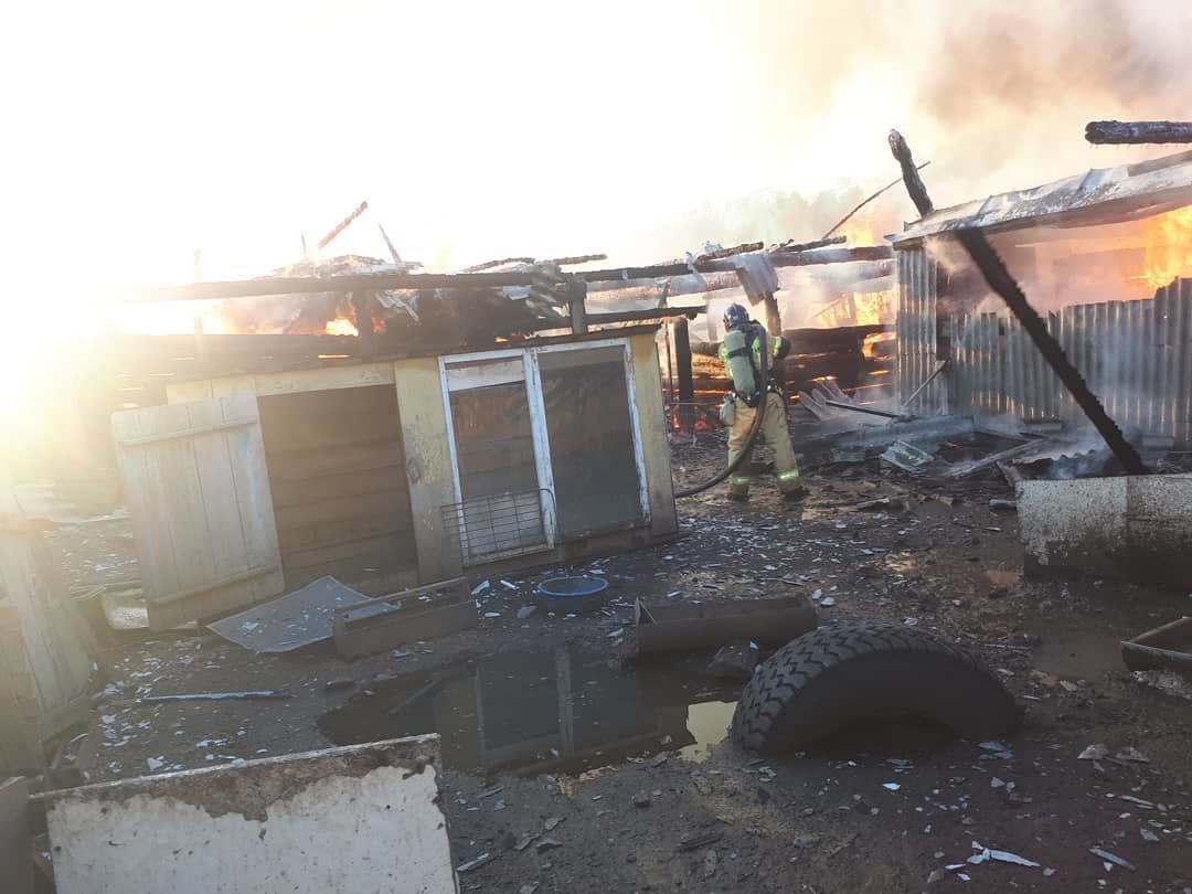 В Кукморском районе семь человек спаслись из огня, услышав звук пожарного извещателя