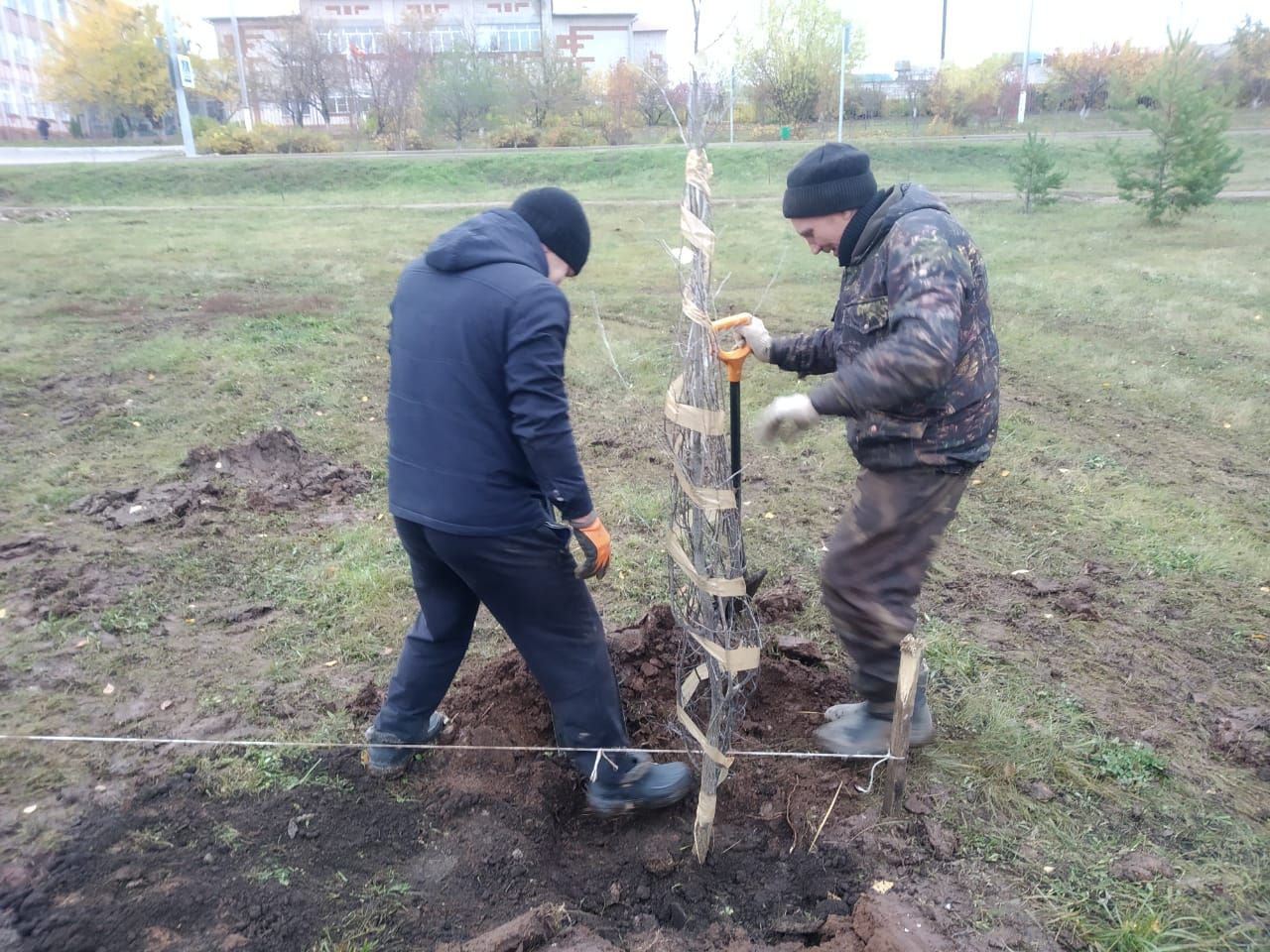 Кукмаралар «Агач утырту көне» акциясенә кушылды