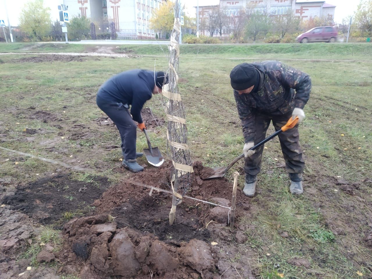 Кукмаралар «Агач утырту көне» акциясенә кушылды