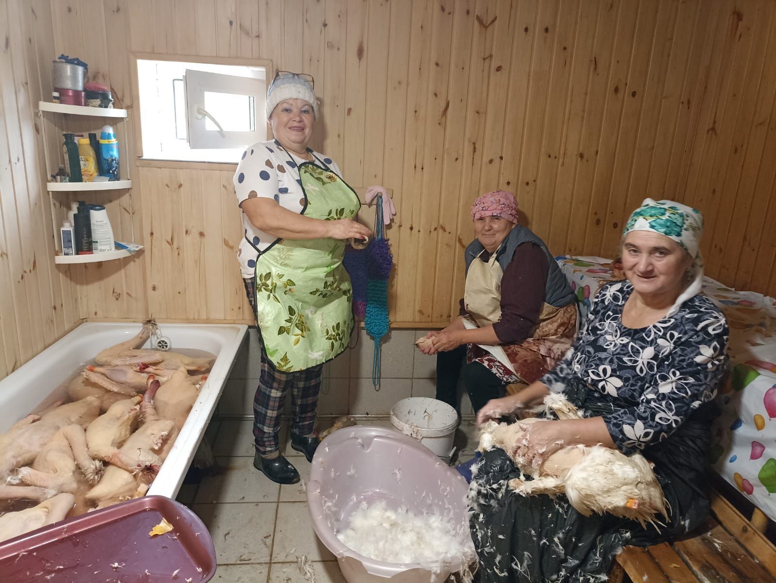 В хозяйстве Ильгамии Басировой из деревни Арпаяз состоялся праздник гусиного пера