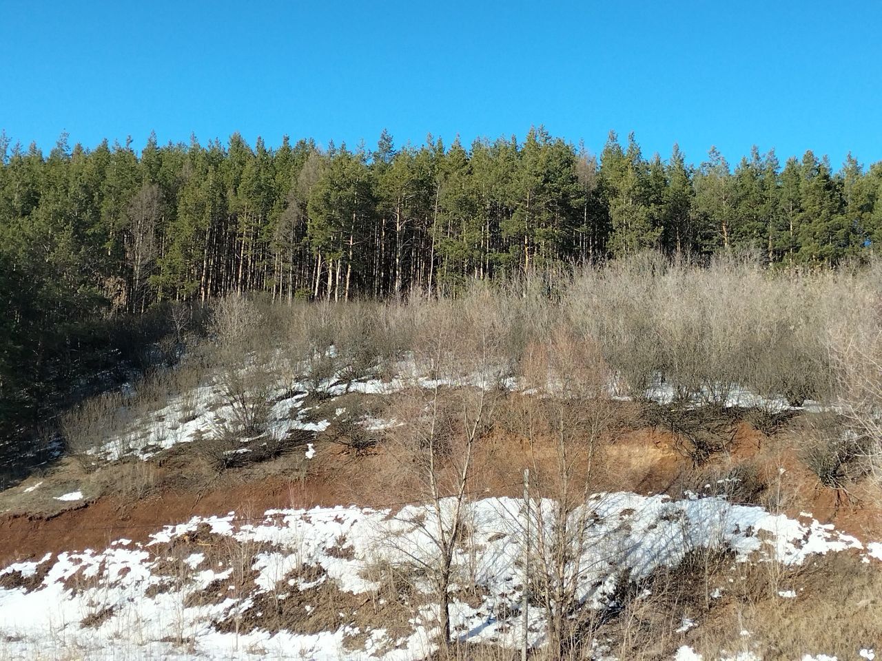 В воскресенье в Кукморском районе ожидается до -9 градусов мороза