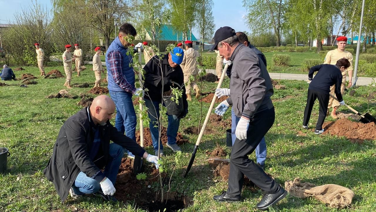 Кукмаралылар “Хәтер бакчасы” акциясе кысаларында агачлар утыртты