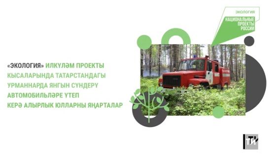 «Экология» проекты буенча Татарстанда урман янгынын сүндерү машиналары өчен юллар төзелә