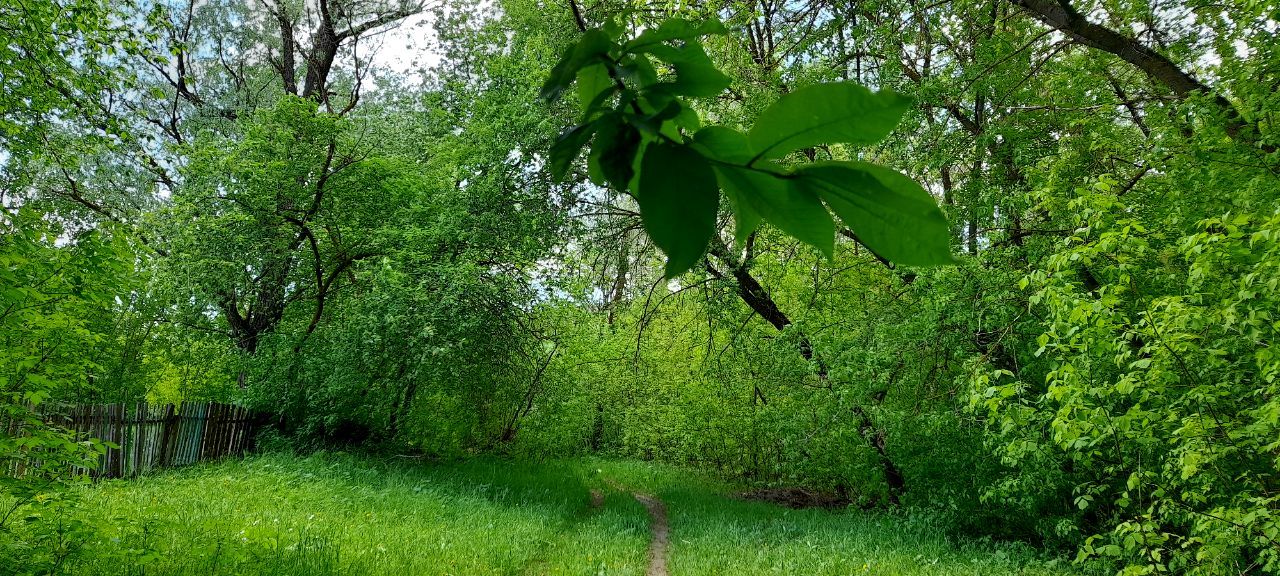В Кукморском районе ожидается кратковременный дождь и гроза