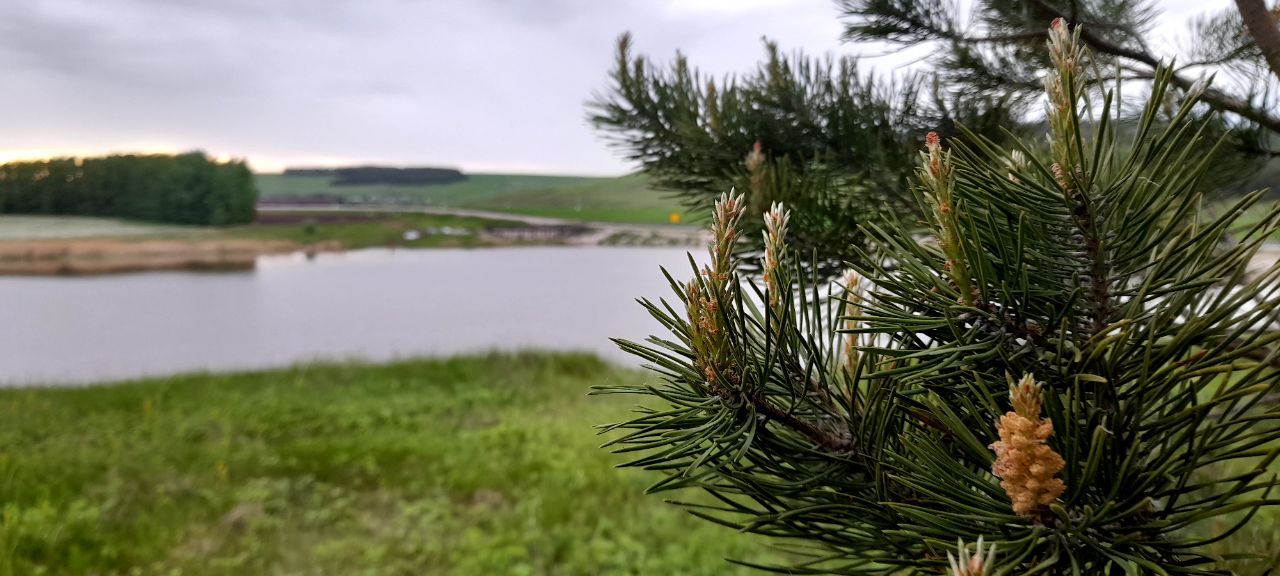 В Кукморском районе ожидаются кратковременные дожди, грозы и до ..+26˚