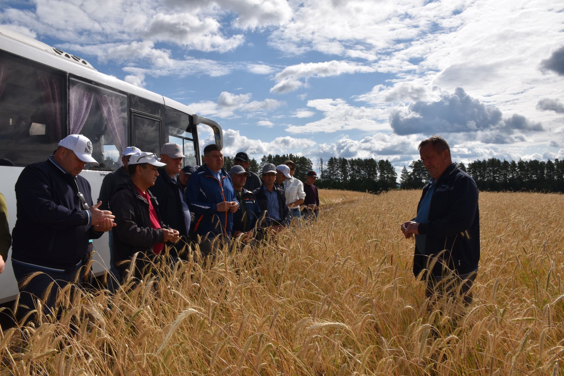 Руководство Кукморского района и аграрии ознакомились с состоянием полей
