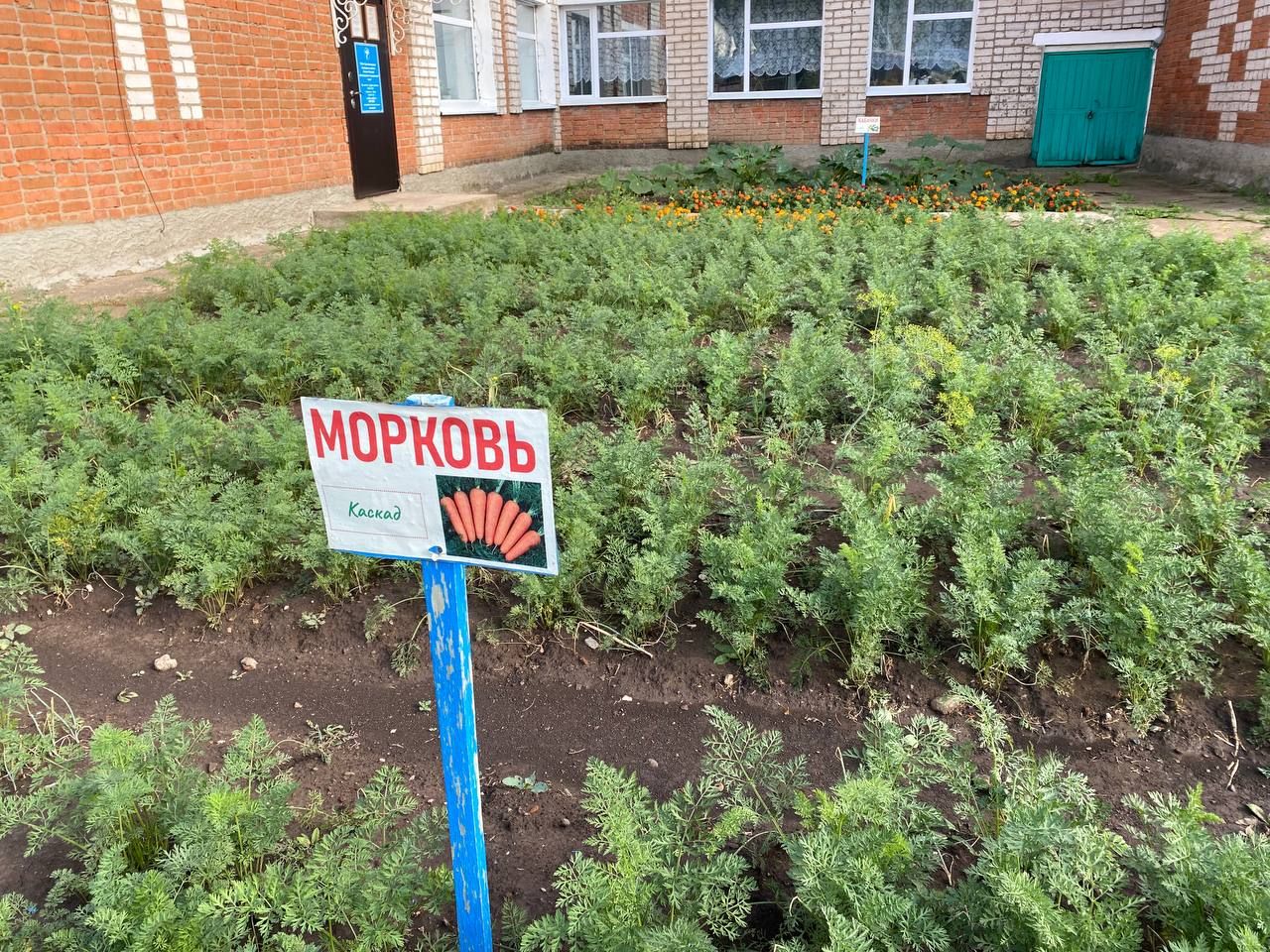В Нижнерусском, Важашурском, Нижнеискубашском, Каркаусском поселениях проверили готовность образовательных учреждений к новому учебному году