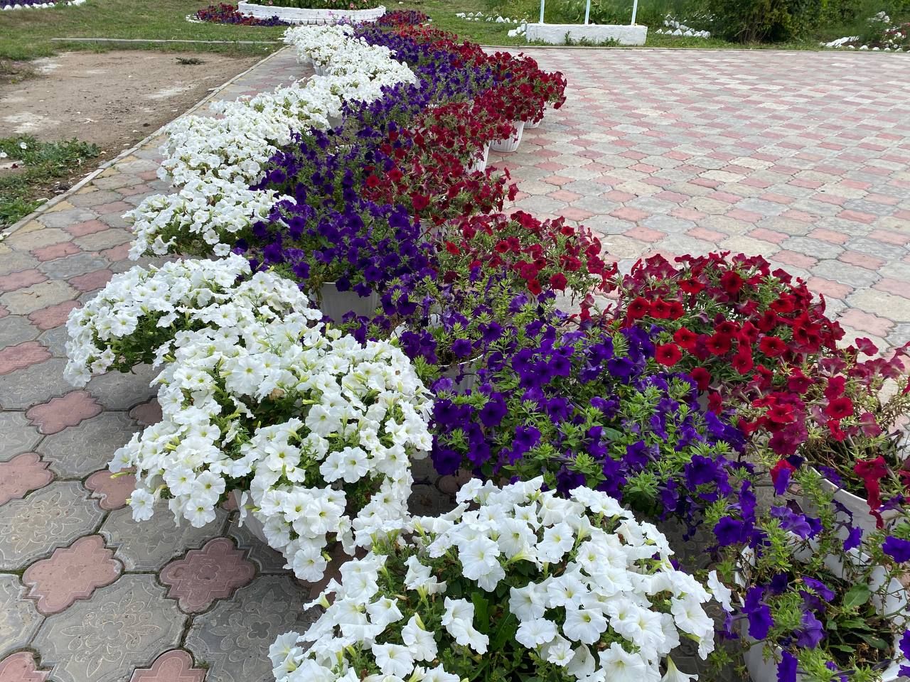 В Нижнерусском, Важашурском, Нижнеискубашском, Каркаусском поселениях проверили готовность образовательных учреждений к новому учебному году