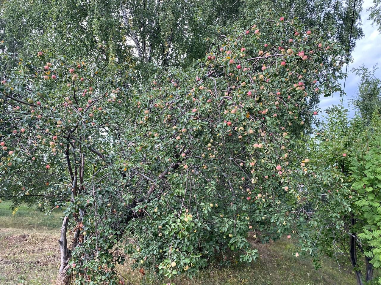 В Нижнерусском, Важашурском, Нижнеискубашском, Каркаусском поселениях проверили готовность образовательных учреждений к новому учебному году