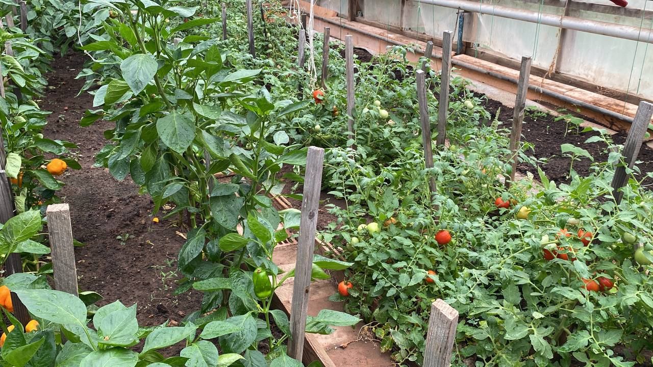 В Нижнерусском, Важашурском, Нижнеискубашском, Каркаусском поселениях проверили готовность образовательных учреждений к новому учебному году