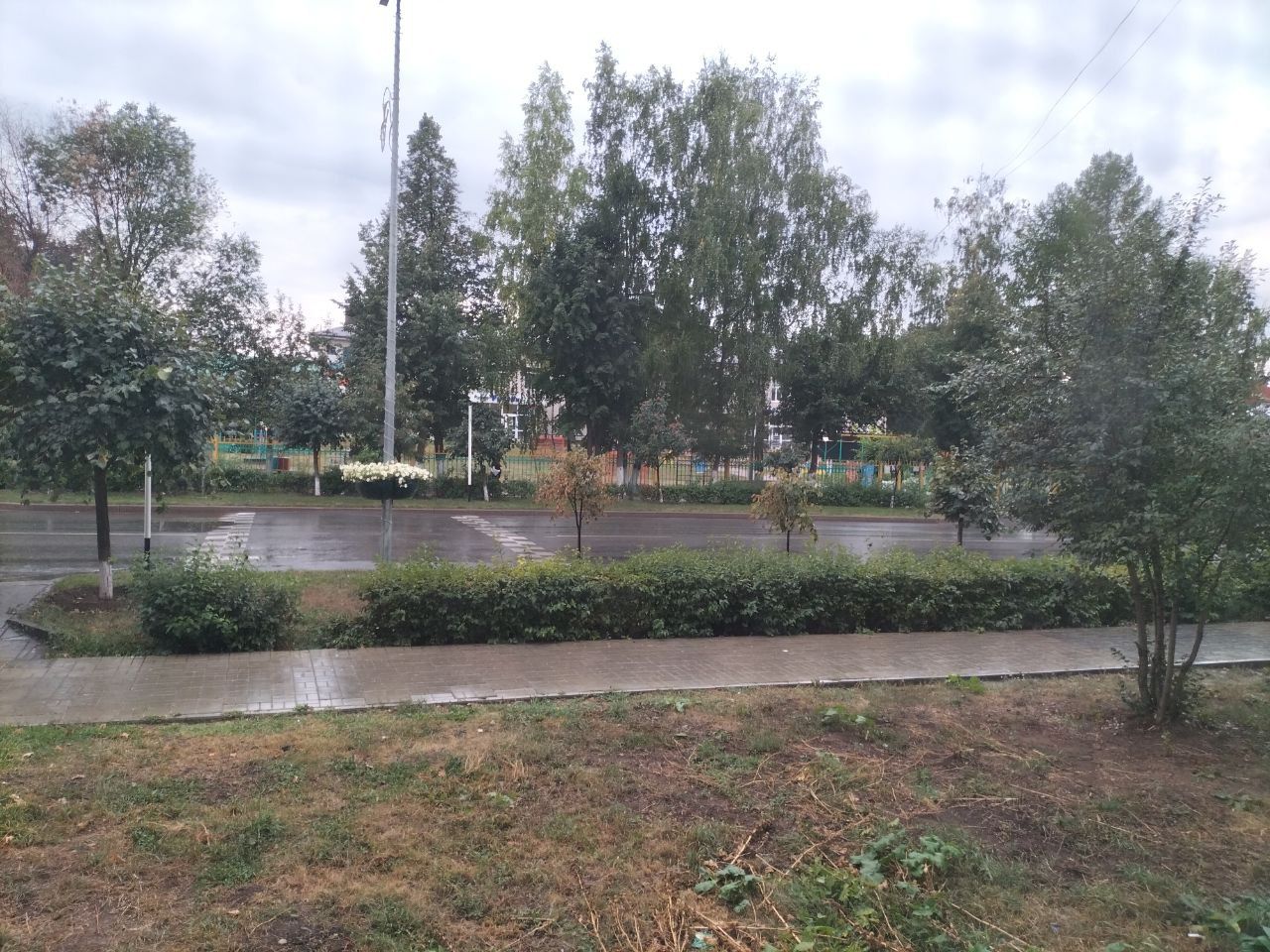 В воскресенье в Кукморском районе ожидается дождь и до +17 градусов