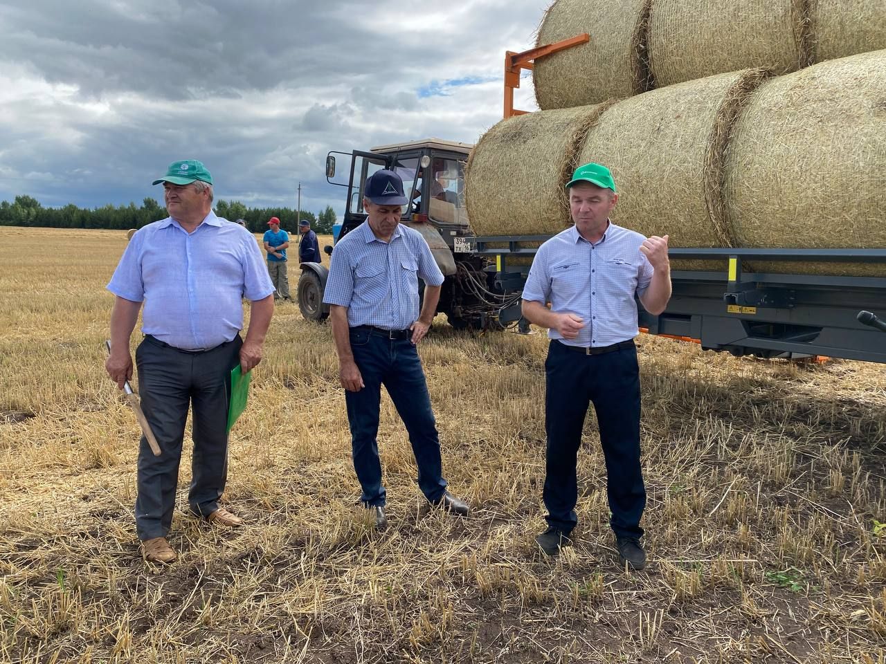 В Кукморском районе Татарстана предстоит убрать зерновые на площади 31798 гектаров