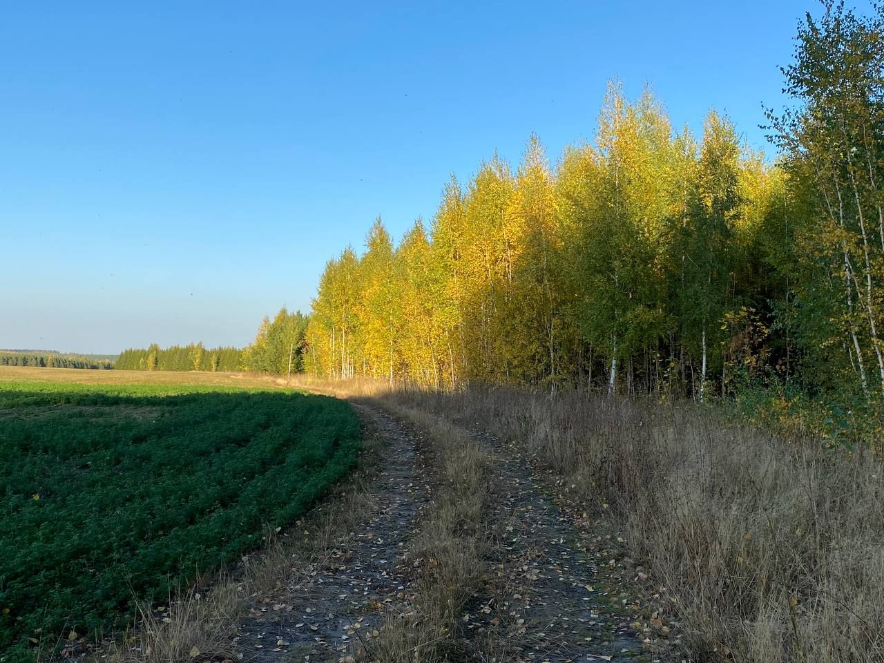 В Кукморском районе ожидается до +20 градусов